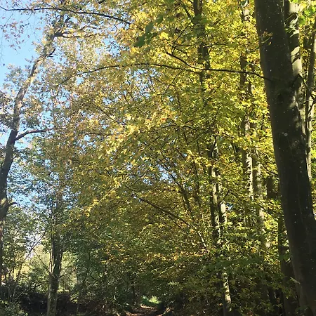 Domaine De La Foret D'orient, Logis Hotel, Restaurant, Et Golf